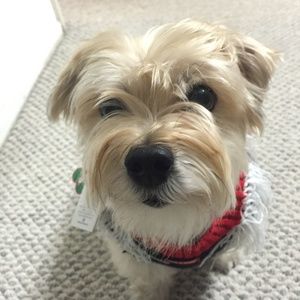 Meet your Posher, Sue